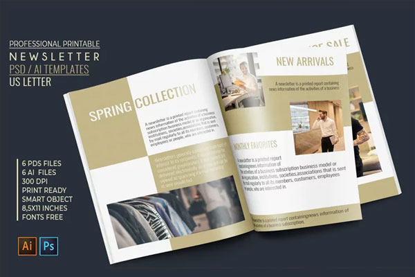 Ecommerce Professional Newsletter Templates