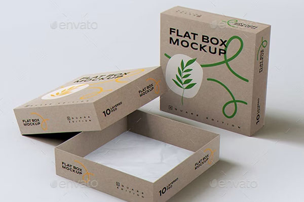 Flat Square Box Mockup