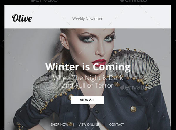 Olive - Ecommerce PSD Email Newsletter