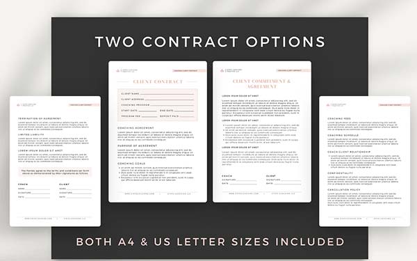 Business Client Contract Template
