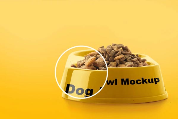 Free Dog Bowl Mockup