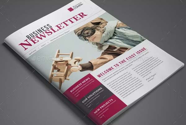 Business Newsletter InDesign Template