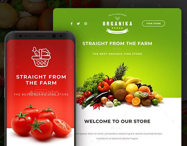 Food Store Email Newsletter Template