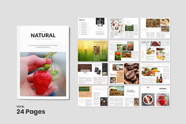 Simple Healthy Food Magazine Template