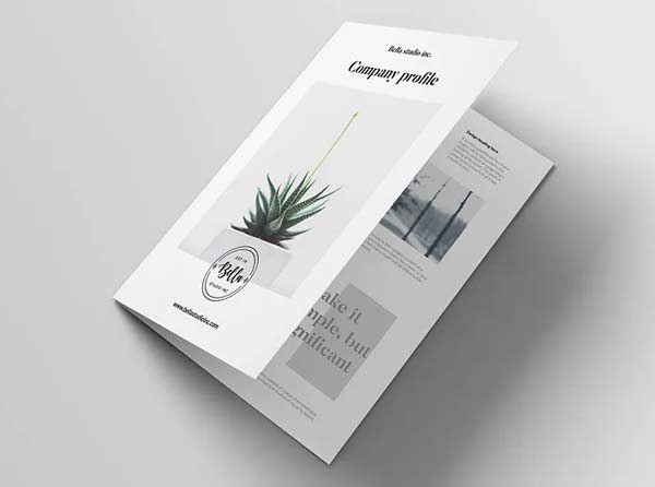 Architecture Company Profile Brochure InDesign Download