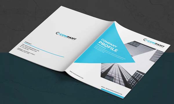 Company Profile Brochure Customize Template