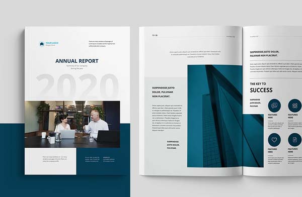 Professional Annual Report Download