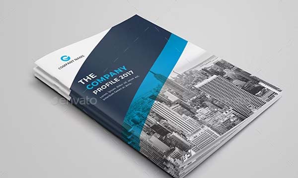 Professional Company Profile Brochure Design
