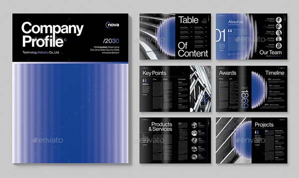 Software Company Profile Brochure Template