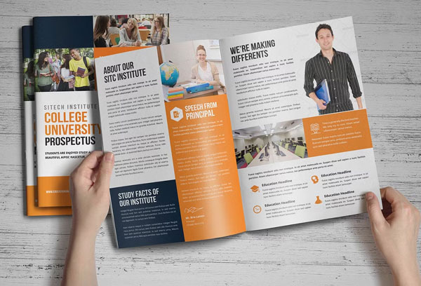 School Education Brochure Template